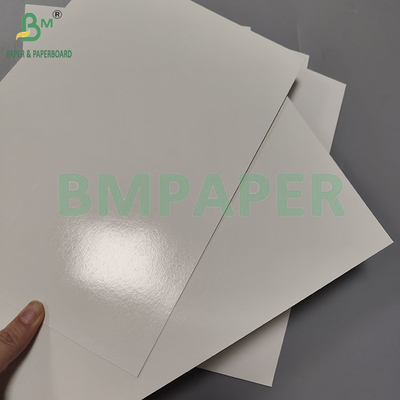 Papel para embalagem de alimentos congelados 275gsm 300gsm para embalagem de frutos do mar congelados