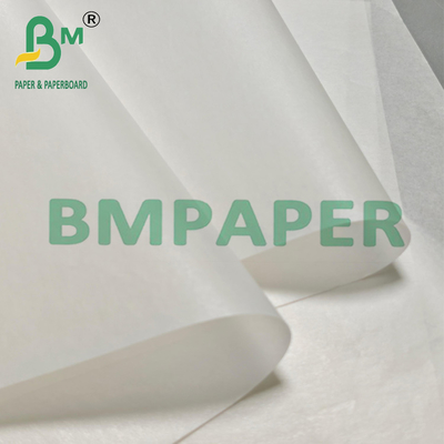 Papel Vegetal Siliconizado para Embalagem 24" x 36"