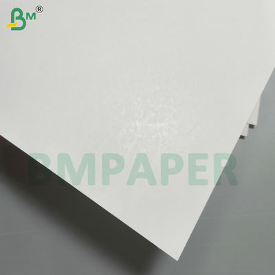 Papel cartão blister revestido com selagem a quente 320gsm 350gsm C1S