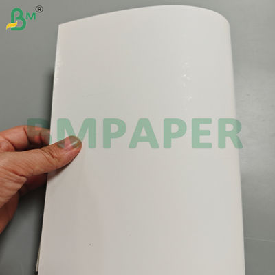 250 gsm de cartão branco revestido de bolhas de um lado para embalagens de produtos