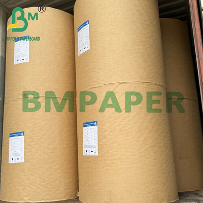 230 gm + 15 g de papel kraft revestido em PE branqueado para papel cupstock