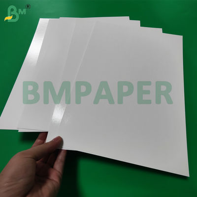 275 g + 15 g de cartão branco revestido com PE para embalagem de frutos do mar congelados 1000 x 700 mm