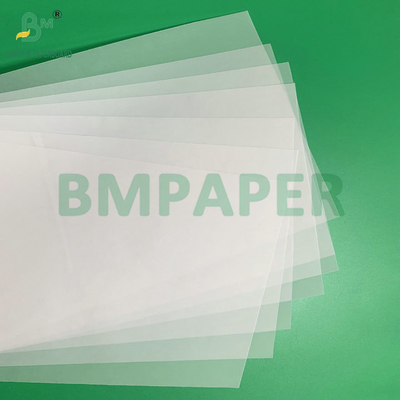 Papel Sulfite A4 de Alta Resistência e Sem Fiapos para Design de Animação Desenhada à Mão
