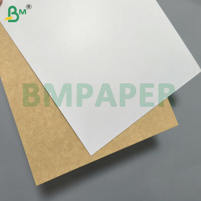 Food Grade Clay - Coated Kraft Back Paper Board 275gsm 325gsm