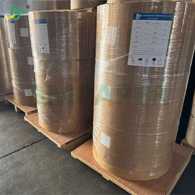 65g Silicone Coating Glossy Glassine Paper 215mm 1070mm In Roll