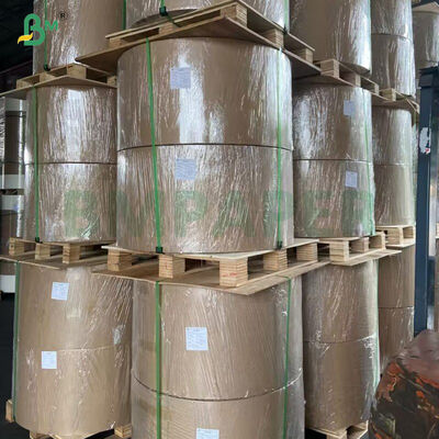 65g Silicone Coating Glossy Glassine Paper 215mm 1070mm In Roll