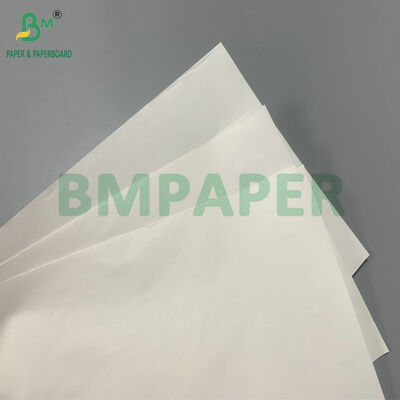 65gm 70gm Autocolante de papel térmico durável para rótulos de gestão de armazém