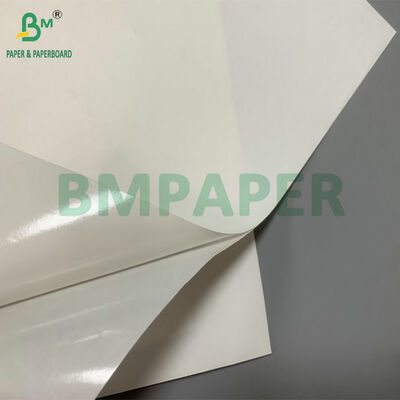 65gm 70gm Autocolante de papel térmico durável para rótulos de gestão de armazém