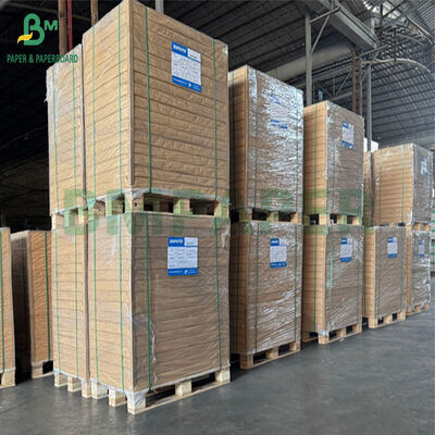 260 gm 270 gm revestimento PET placa de qualidade alimentar para tigelas de papel 640 x 900 mm