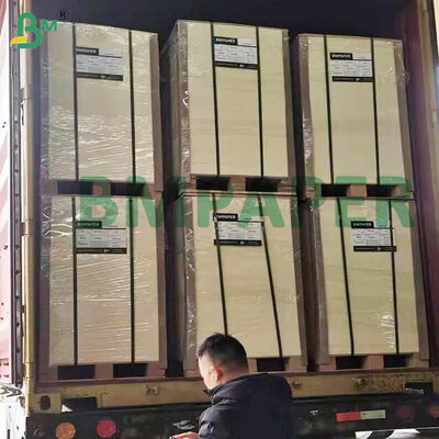 Cartão de celulose altamente absorvente 0,4-2,0mm para base de cerveja branco natural