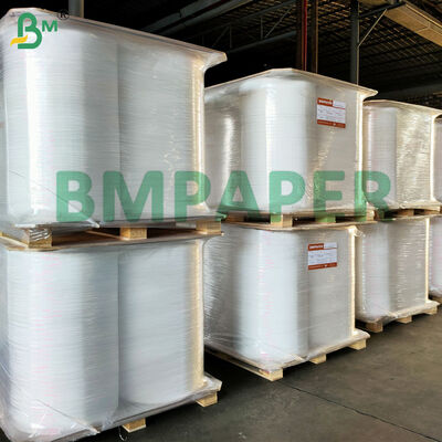 Rolo de Papel Base para Maço de Cigarro 25gsm Branco para Papel de Cigarro