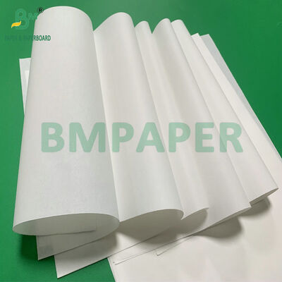 Papel Bíblia a Granel de Alta Opacidade 35gsm para Impressão de Dicionários/Bíblias/Manuais