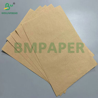 Papel Absorvente Antiderrapante 60gsm 70gsm para Pintinhos em Granja