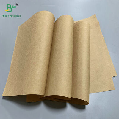 Papel Absorvente Antiderrapante 60gsm 70gsm para Pintinhos em Granja