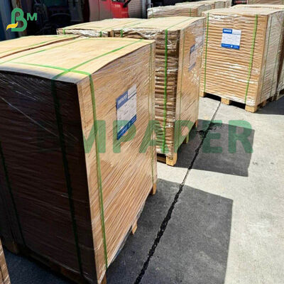 Rolo de papel de pergaminho para assar Cozinhar Grelhar A vapor Não branqueado