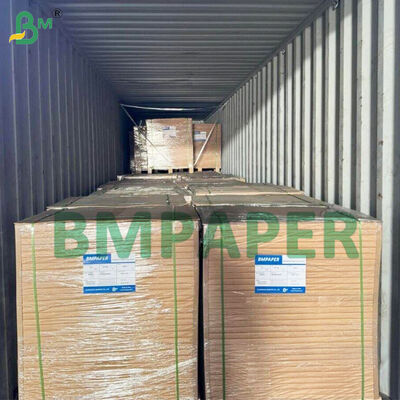 Forminha de Papel Colorida para Muffin, Anti-vazamento, para Cozinhar Doces