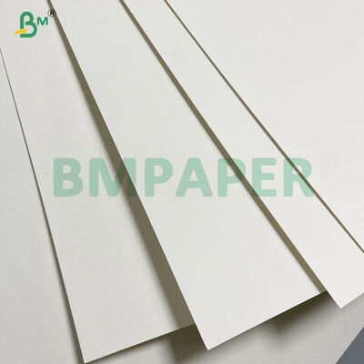 Food Safety High Extensibility One Side PE Coated Cup Stock Paper 
