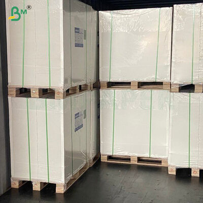 Food Safety High Extensibility One Side PE Coated Cup Stock Paper 
