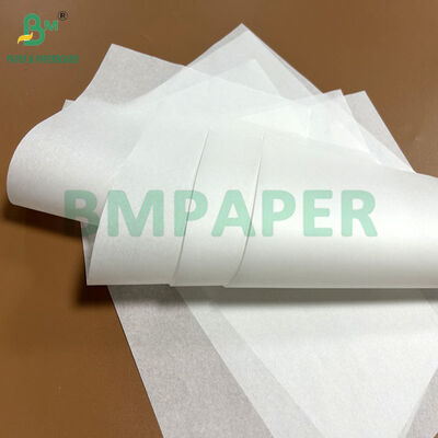 Papel à prova de gordura para segurança alimentar de 30gsm 40gsm para copo de cozimento tulipa em rolo de 1100mm 1200mm