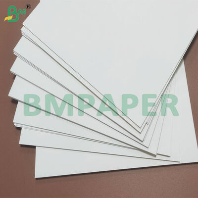 Folhas de Papel para Copos à Prova de Vazamento de 135gsm-350gsm com Revestimento de PE