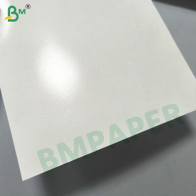 Papel Base para Copo de Papel Grau Alimentício, Revestido de PE em um ou dois lados 180-350gsm