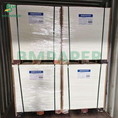 Cartão de Celulose Impressível de Alto GSM 0,6 mm 0,8 mm de Espessura Papel Absorvente Blotter Branco Natural para Porta-Copos de Cerveja