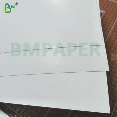 Papel Kraft Branco Revestido de Um Lado de Grau Alimentício 200-360gsm Resistente a Baixas Temperaturas para Embalagem de Alimentos