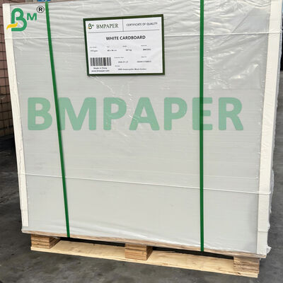Papel Kraft Branco Revestido de Um Lado de Grau Alimentício 200-360gsm Resistente a Baixas Temperaturas para Embalagem de Alimentos