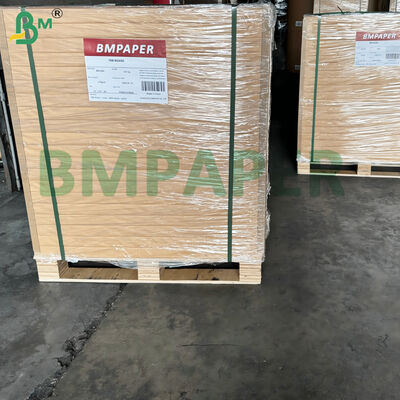 Papel Kraft Branco Revestido de Um Lado de Grau Alimentício 200-360gsm Resistente a Baixas Temperaturas para Embalagem de Alimentos