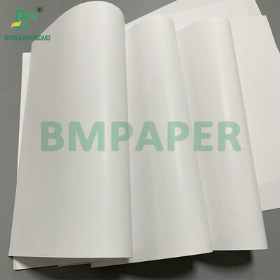 Papel de etiquetas C1S resistente à água, revestido de um lado 70 gm 80 gm para etiquetas de garrafas