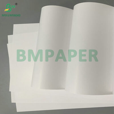 Papel de etiquetas C1S resistente à água, revestido de um lado 70 gm 80 gm para etiquetas de garrafas