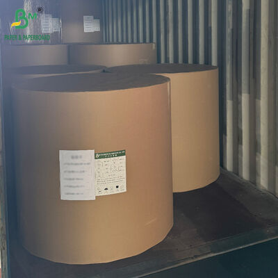 Cartão de papel CCNB revestido com PE 18PT 24PT para caixas de embalagem de alimentos congelados