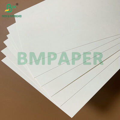 Papel Revestido de PE à Prova d'Água e Resistente a Gordura de Grau Alimentício 250-350gsm para Bandejas de Comida Descartáveis e Embalagens para Viagem