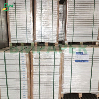 Cartão de Revestimento com Revestimento de Um Lado de 350gsm 12*18 polegadas