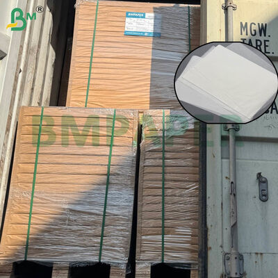 Food-Grade Certified Coffee Filter Paper Sheets with Large Size and Dual Grammage Options for Home and Commercial Brewing