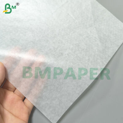 Pastel Liner Pergaminho 21gm Branco e Cores Semi Transparência