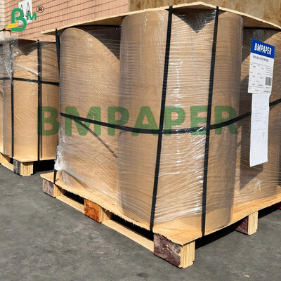 Pastel Liner Pergaminho 21gm Branco e Cores Semi Transparência