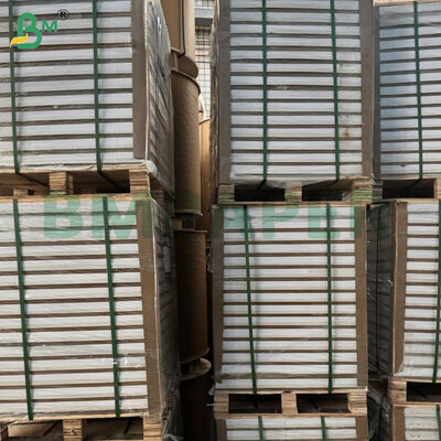 Folhas de Papel Couché Brilhante C2S Dupla Face Revestido 100/180/200gsm