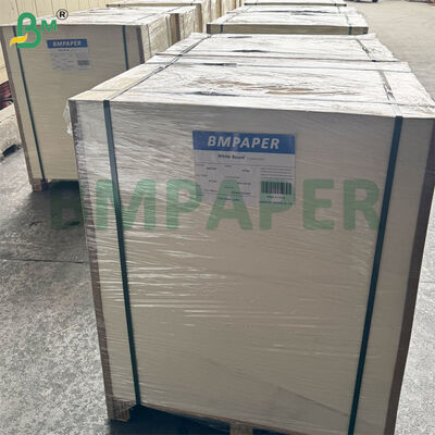 Cartão para Porta-Copos de Cerveja 460gsm 0.8mm | Papel Absorvente Folhas 1200mm × 840mm