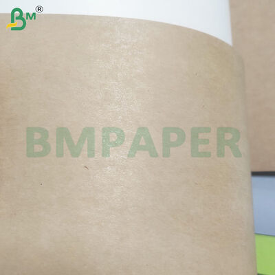 Rolos de Papel Kraft para Tigelas/Pratos com Revestimento de PE de 350gsm+10gsm de Grau Alimentício