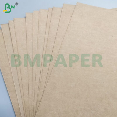 Rolos de Papel Kraft para Tigelas/Pratos com Revestimento de PE de 350gsm+10gsm de Grau Alimentício