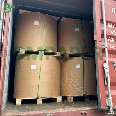 O papel de embalagem Rolls Testliner de Brown Reciclou a placa 200gsm do forro
