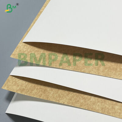 100% Polpa de Madeira Virgem 280gsm 300gsm Cartão Kraft Branco Revestido para Embalagens de Alimentos