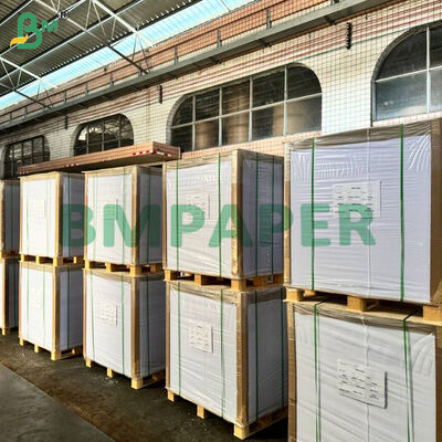 GC4 Revestido Kraft Back Paperboard Grau alimentício para cartão de bolo 250g 300g