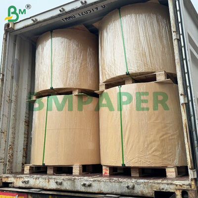 Cartão de alimentação WTKB Cartão Kraft revestido de branco de um lado para embalagem direta de alimentos
