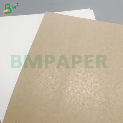 195gsm+15gsm PE Coated Cup Stock Paper Sheets for Making Cups