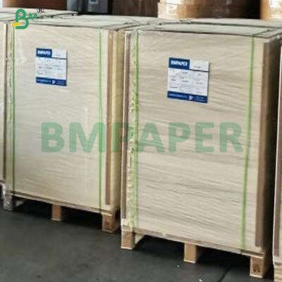 Papel impermeável descartável laminado da polpa de madeira do Virgin único PE das bacias do cartão