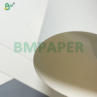 Papel impermeável descartável laminado da polpa de madeira do Virgin único PE das bacias do cartão