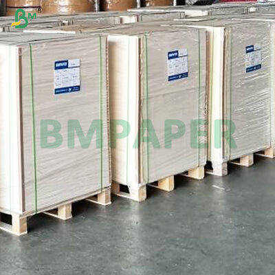 Base de papel resistente ao calor FDA revestido em 18G PE para aquecimento recipiente de comida para levar