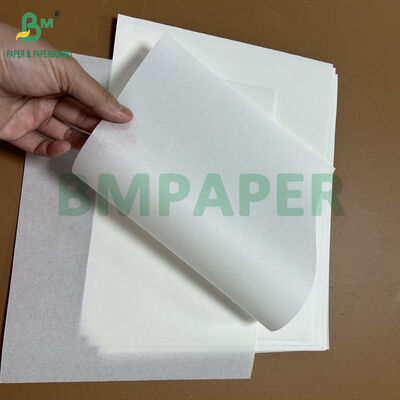Forminhas de papel para cupcake resistentes à gordura de 30g/m² e 40g/m² para assar 21,6 x 27,9 cm